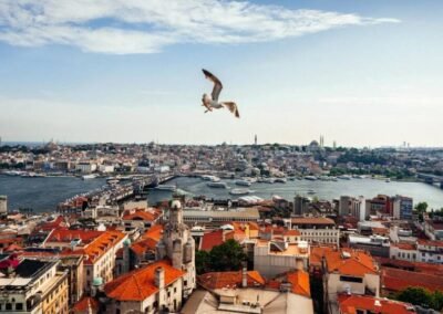 Hair Transplant by Specialists