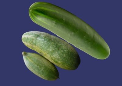 Step-by-step penile enlargement abroad process